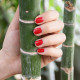 Vernis à ongles vegan Revolution photo officielle de la marque Boho Green Make-Up